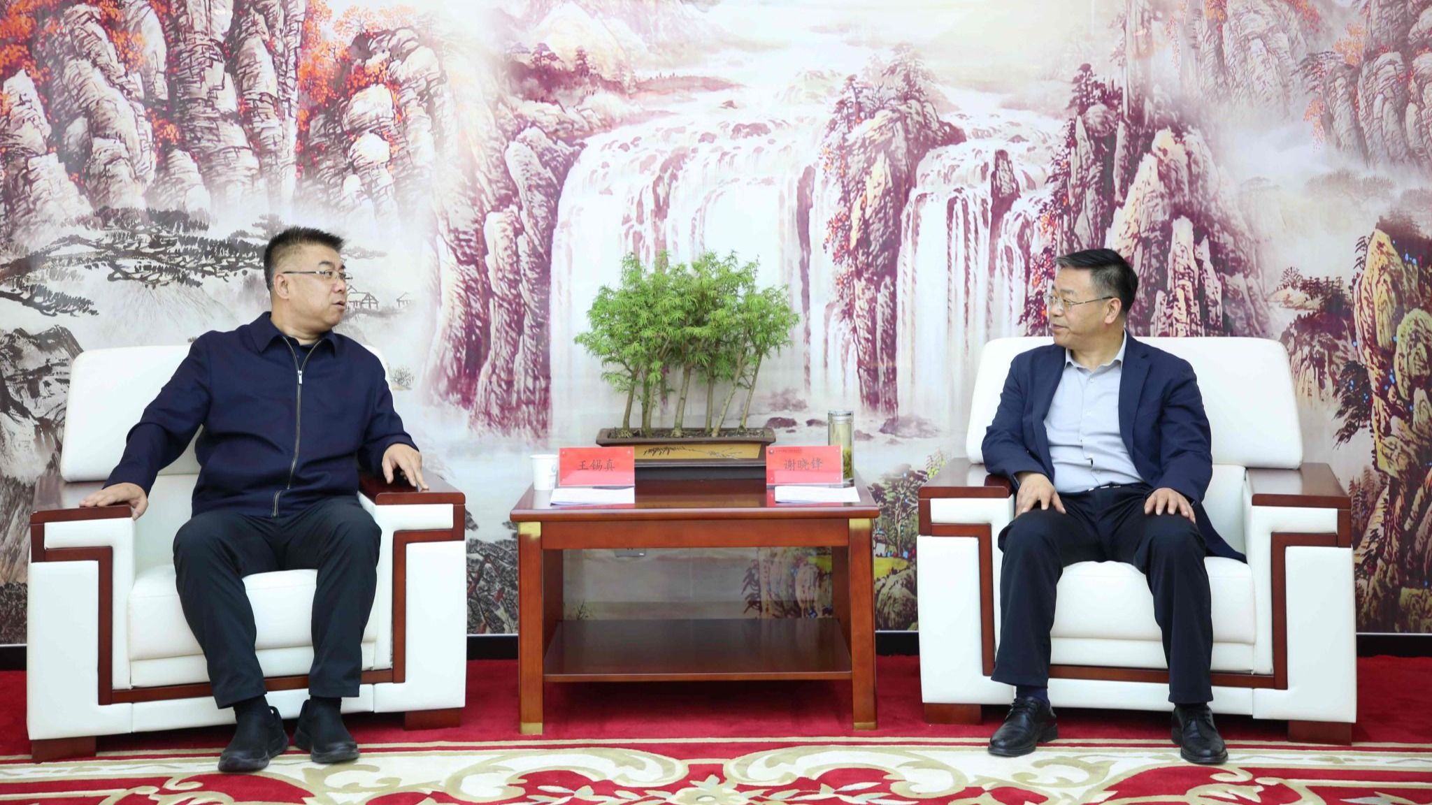 谢晓锋与华龙证券客人座谈