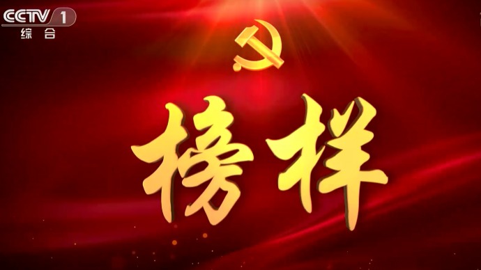 《榜样4》