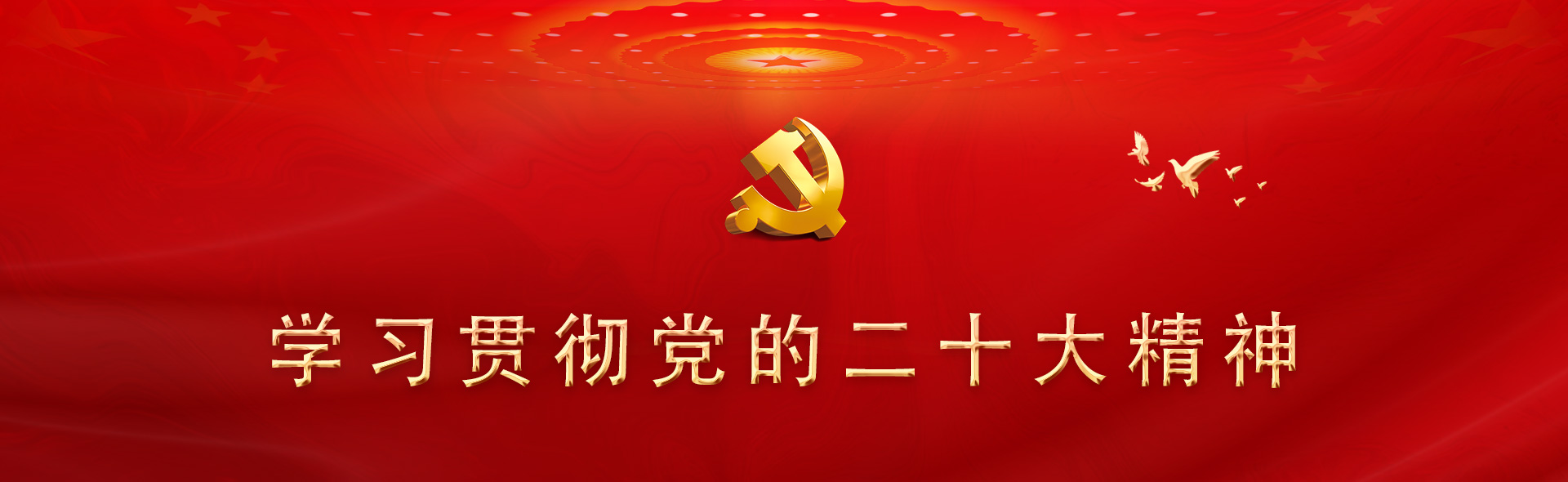 学习贯彻党的二十大精神